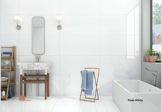 Plain White Matt 60x120 image 0