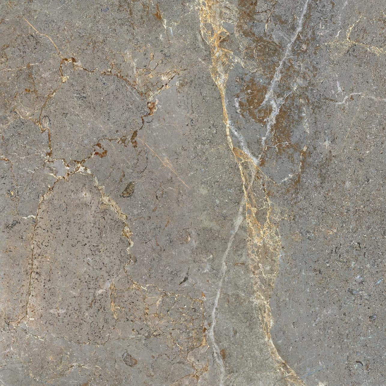 Palmero  image 1