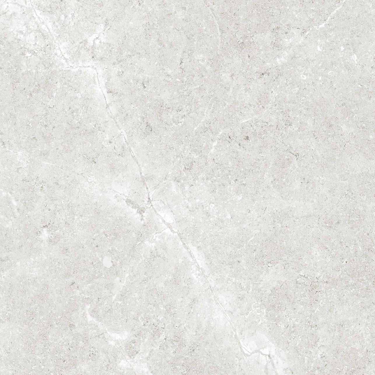 Palmero  image 3