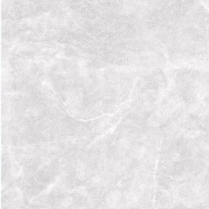 355 Polished Porcelain  image 1
